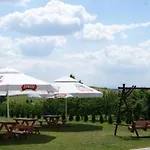 U Elizy